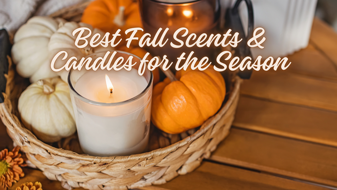 Creating a Cozy, Aromatic Home: Best Fall Scents and Candles for the Season