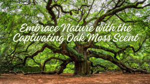 Embrace Nature with the Captivating Oak Moss Scent | Soy Candles, Soy Wax Melts, and Room Mists