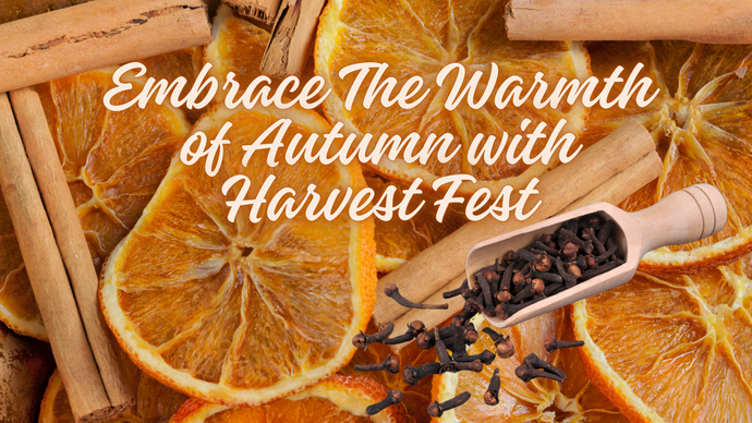 Embrace the Warmth of Autumn with Harvest Fest: A Blend of Orange, Cinnamon, and Clove