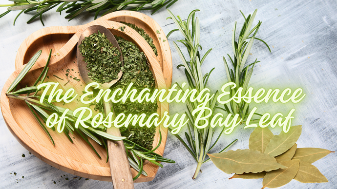 The Enchanting Essence of Our Rosemary Bay Leaf Soy Candle: A Journey of Fragrance and Well-being