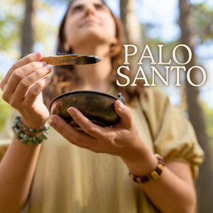 The Enchanting World of Palo Santo: Unveiling the Aromatic Bliss of Our Soy Candles, Wax Melts, Room Mists, and Fragrance Oils