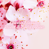 Cherry Blossom Hand & Body Lotion