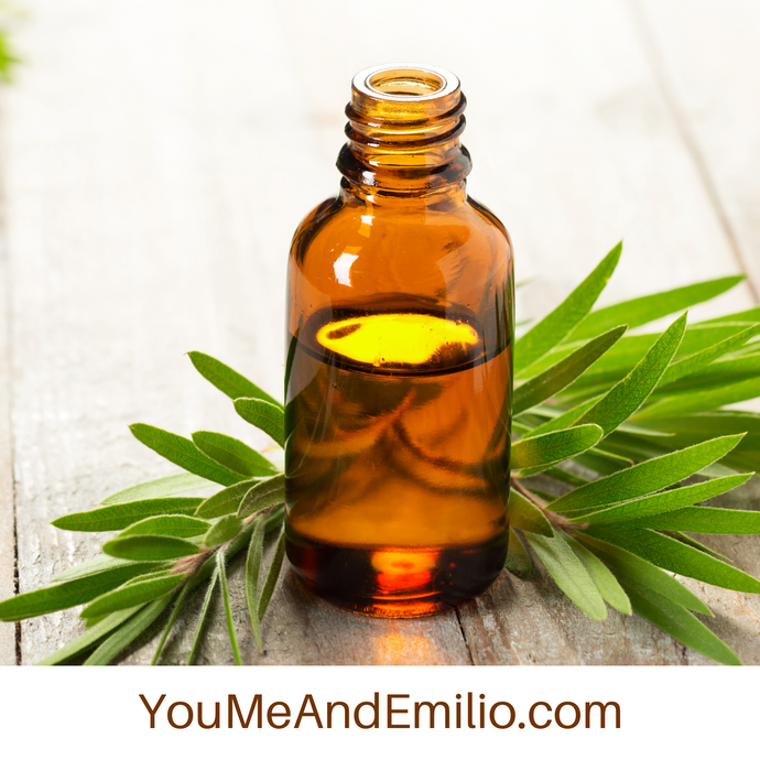 Tea Tree Essential Oil | Pure Oil